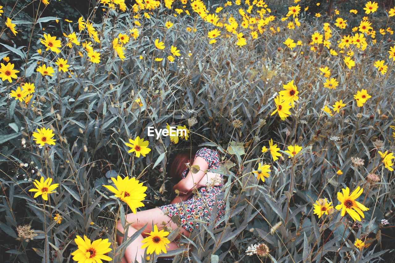 High angle view of young woman lying on field amidst flowers