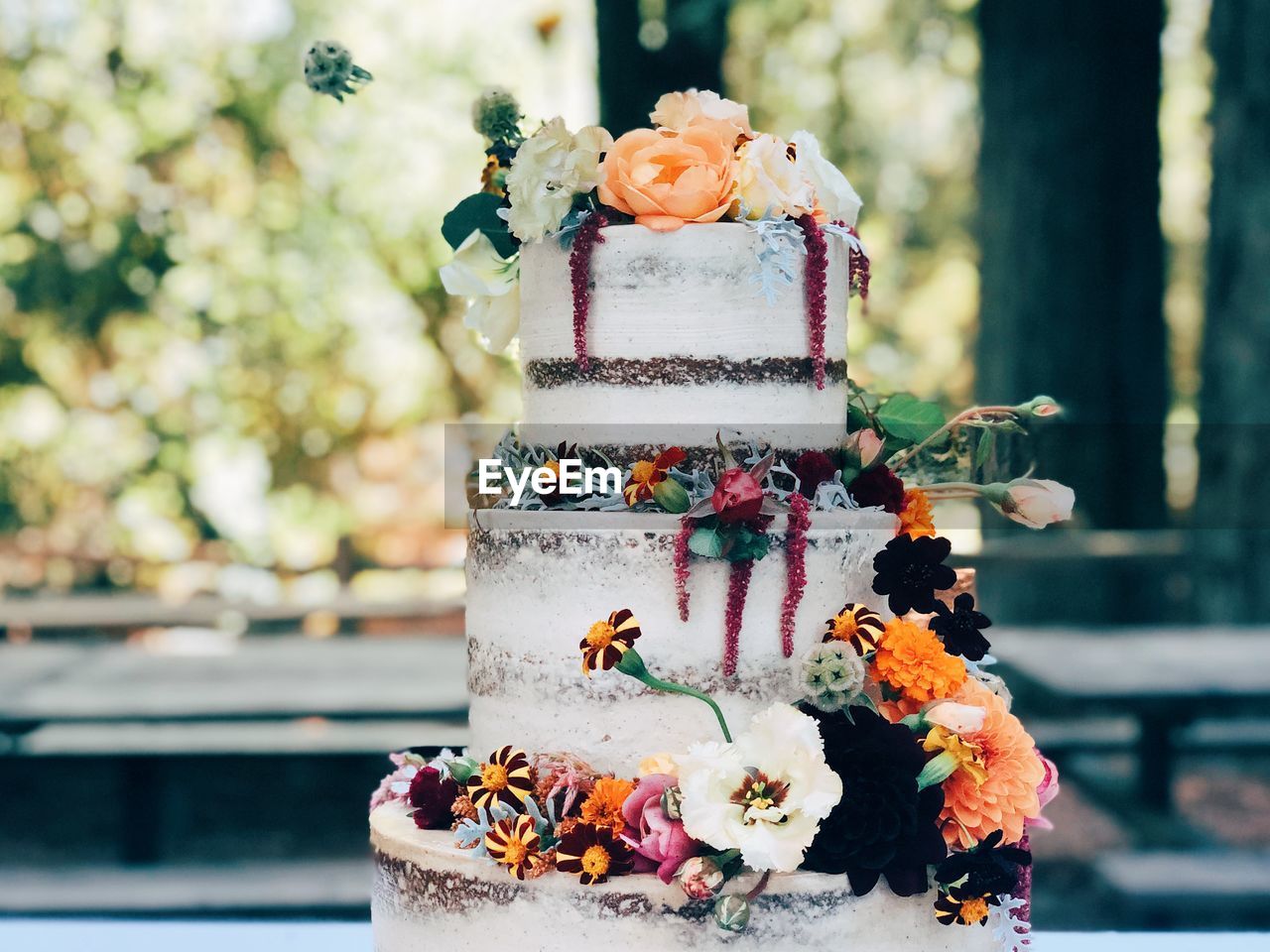 Close-up of small flowers on cake