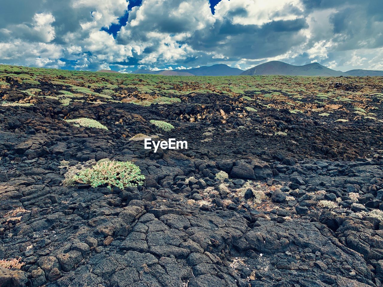 SCENIC VIEW OF ROCKS ON FIELD AGAINST SKY