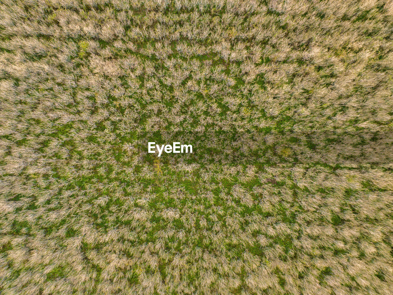 full frame shot of agricultural field