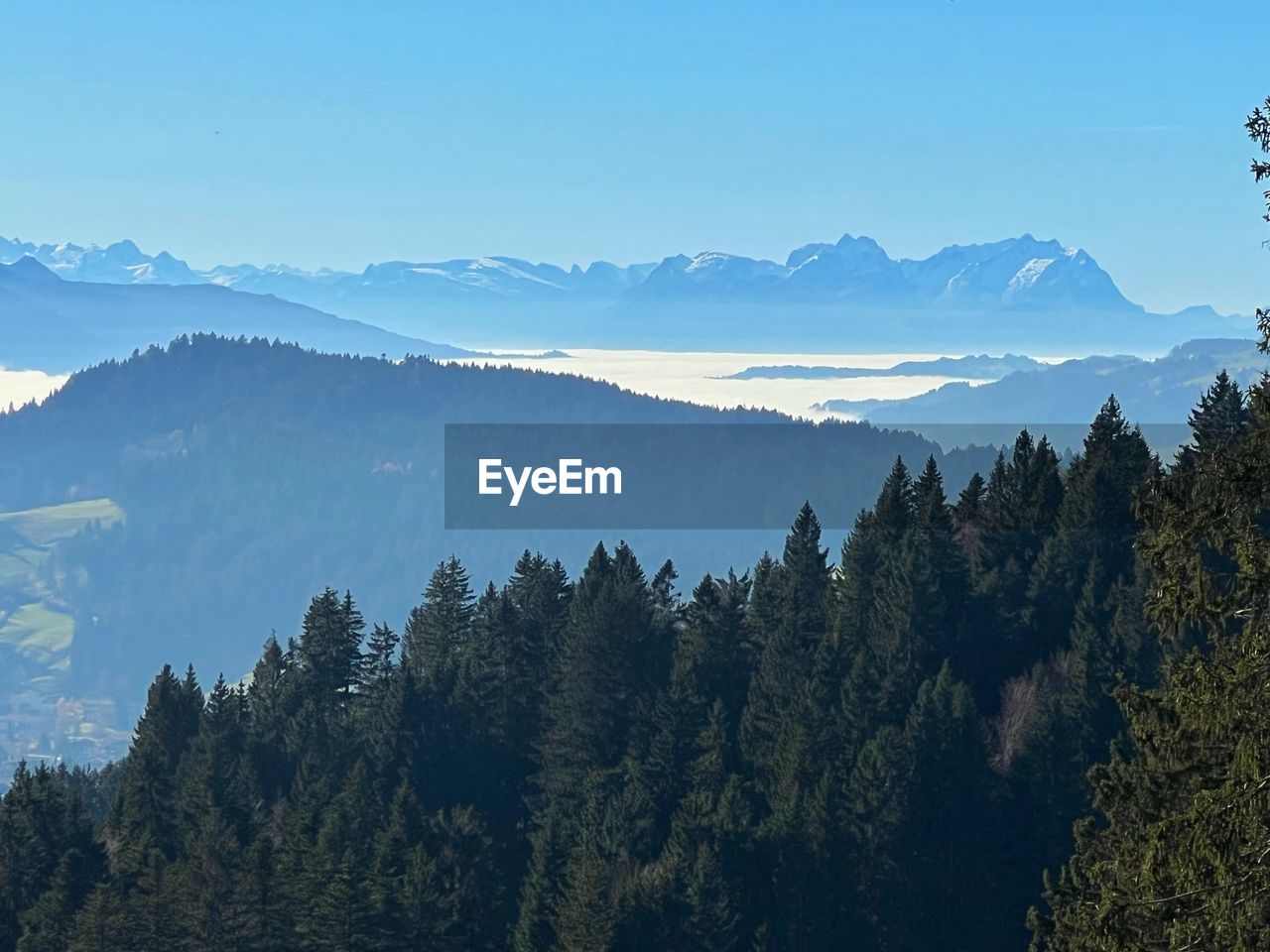 PANORAMIC VIEW OF TREES AND MOUNTAINS AGAINST SKY