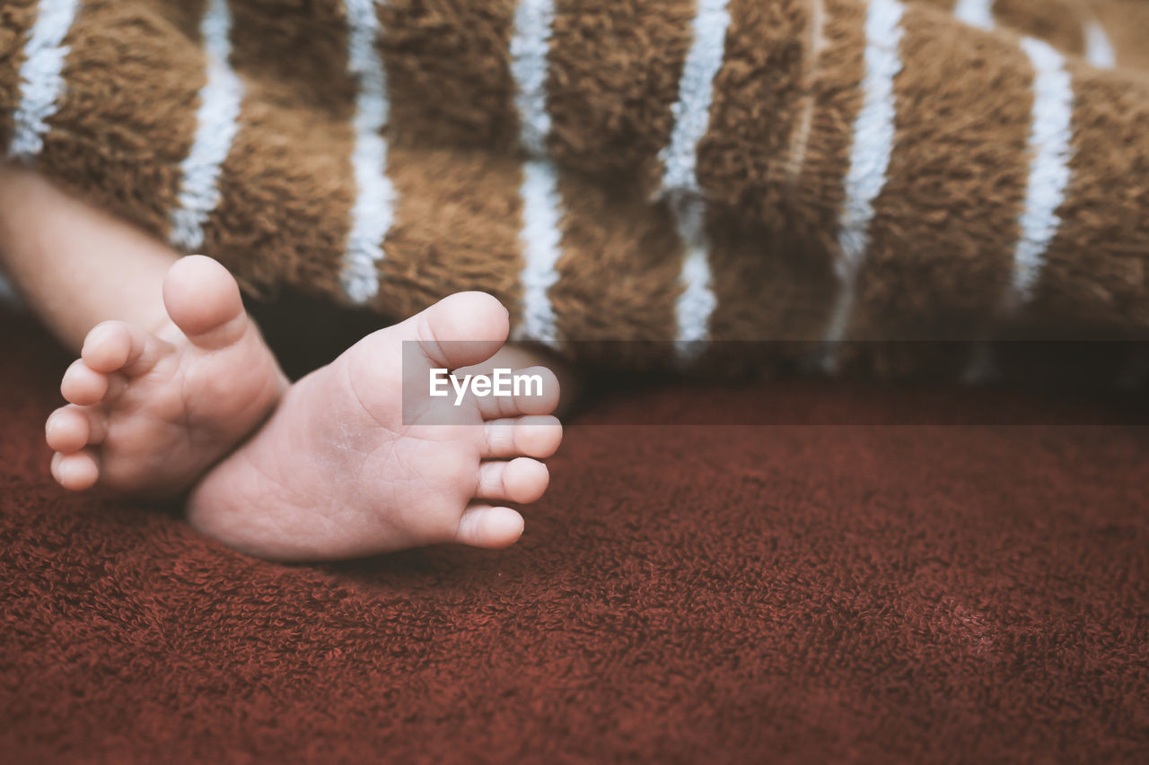 Low section of baby feet on rug