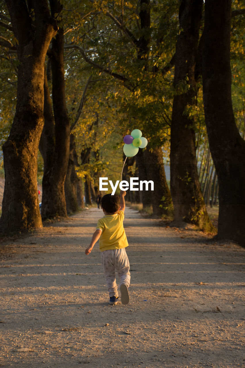 Rear view of boy running on pathway amidst trees