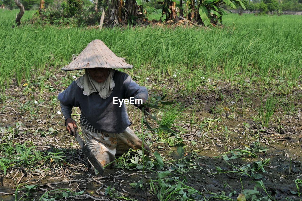 Farmer wearing hat while working on field