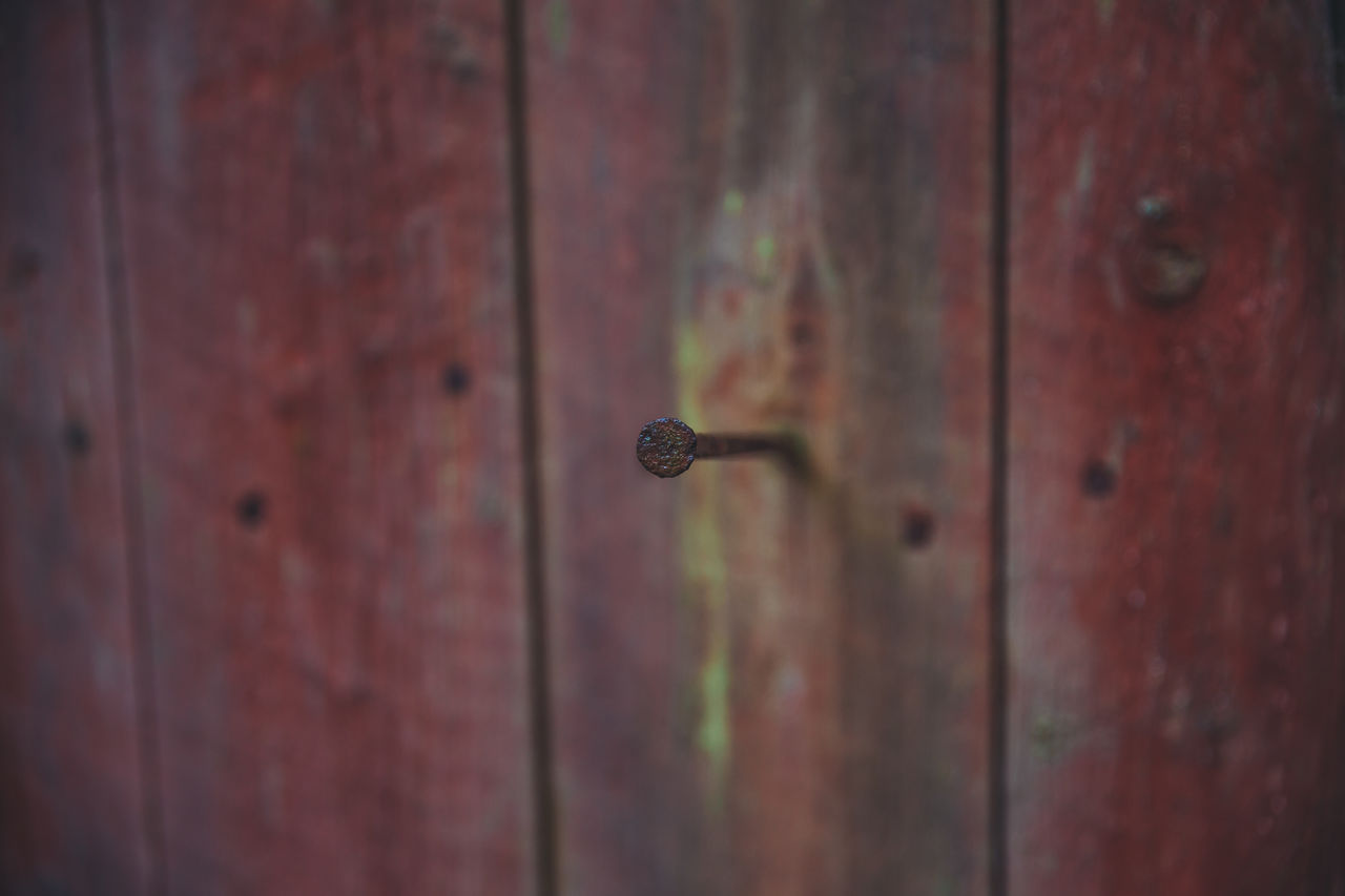 Close-up of rusty nail