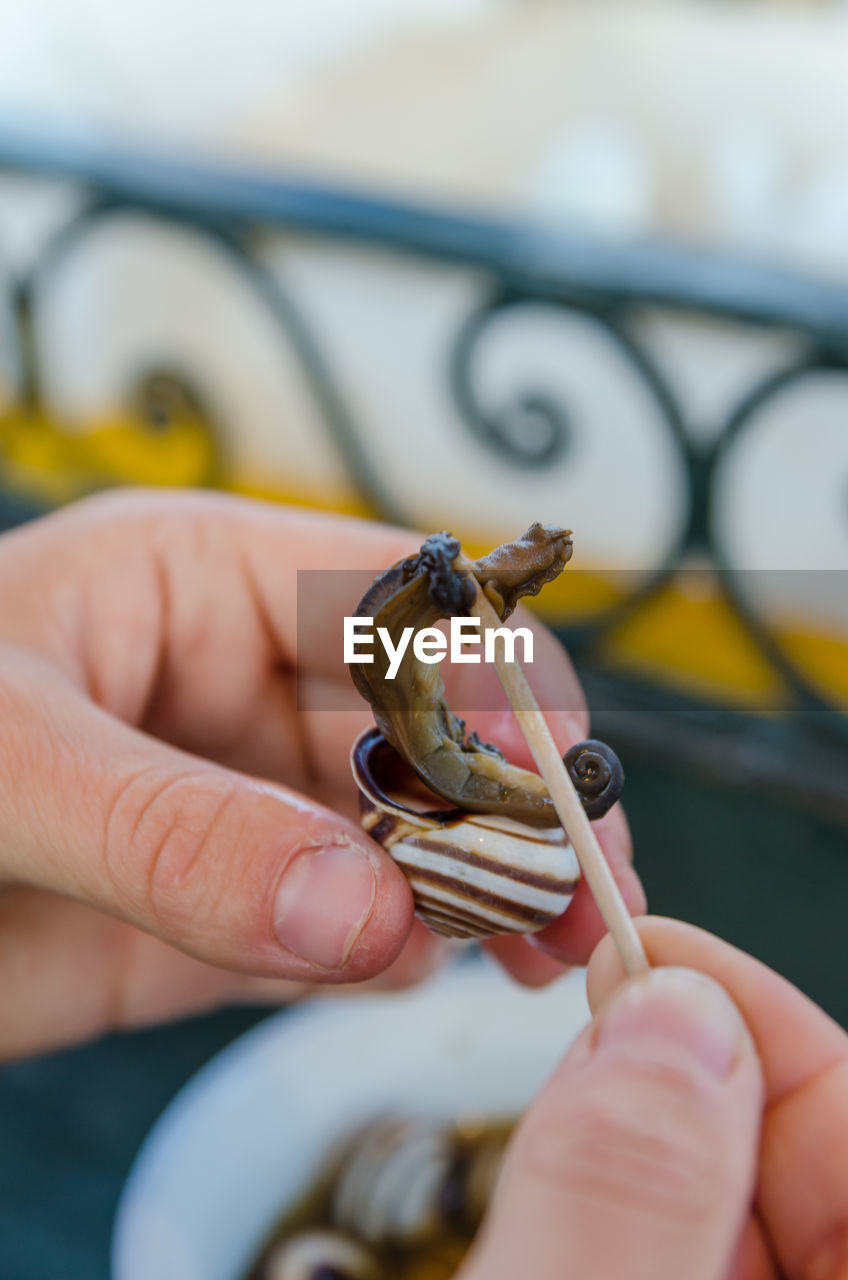 Close-up of human hand eating cooked snail with toothpick, marrakech, morocco, north africa