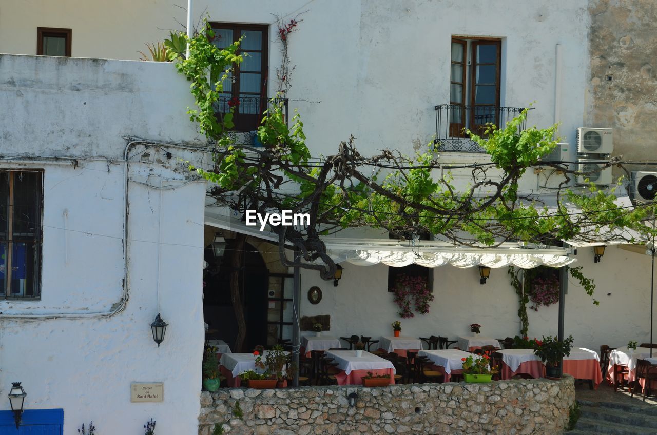 POTTED PLANTS OUTSIDE HOUSE AGAINST BUILDING