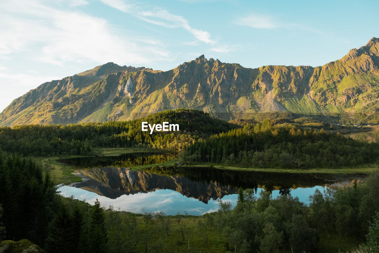 Scenic view on sunlit mountains, serene lake, three grazing moose by a forest.