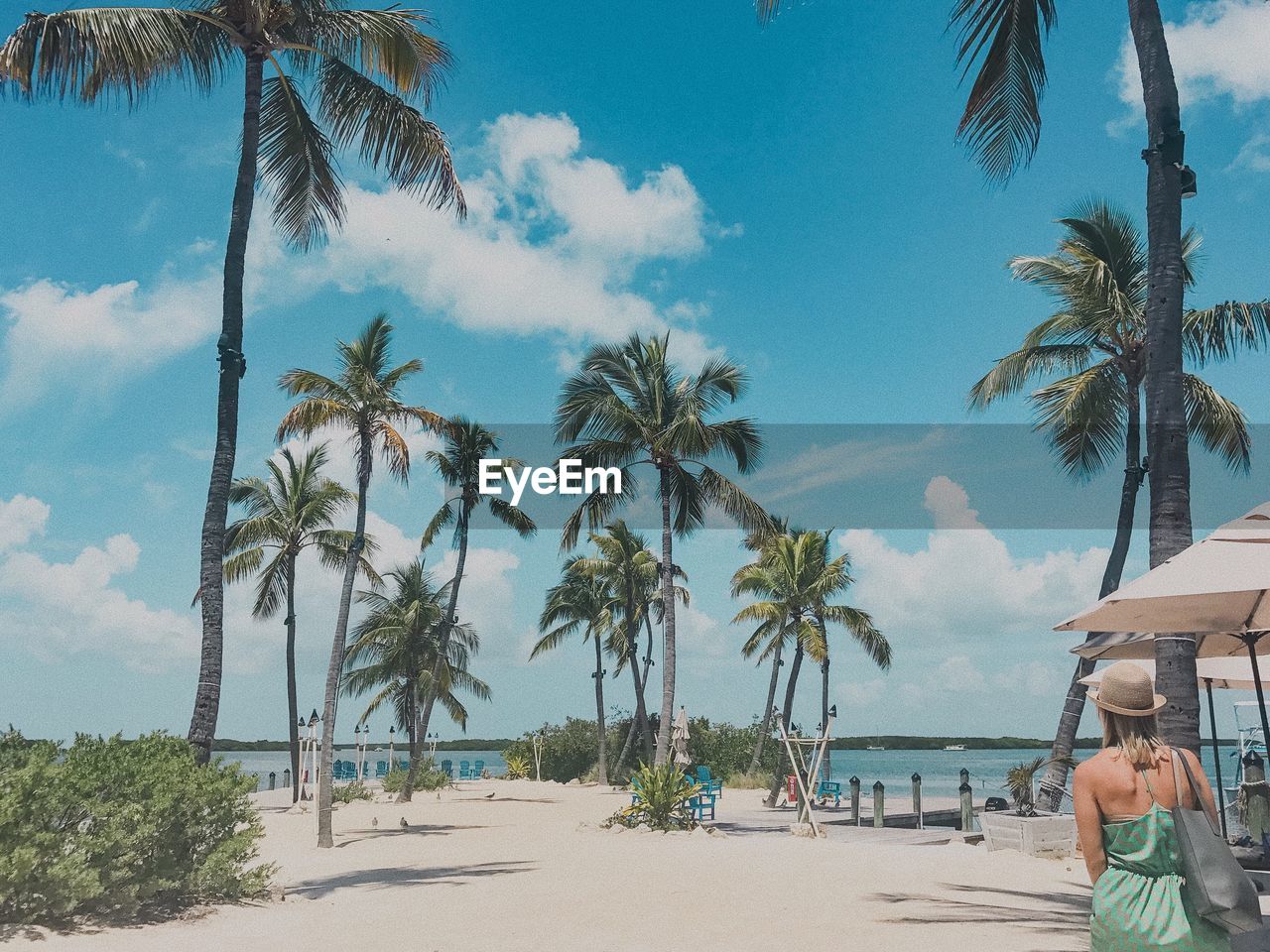 SCENIC VIEW OF BEACH AGAINST BLUE SKY