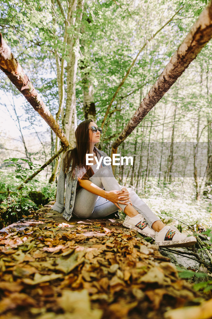 Young woman sitting on tree trunk in forest