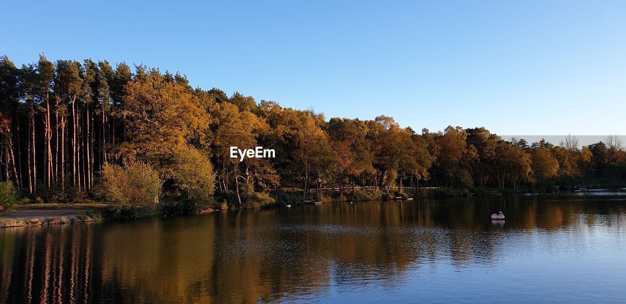 Scenic view of lake against clear sky during autumn