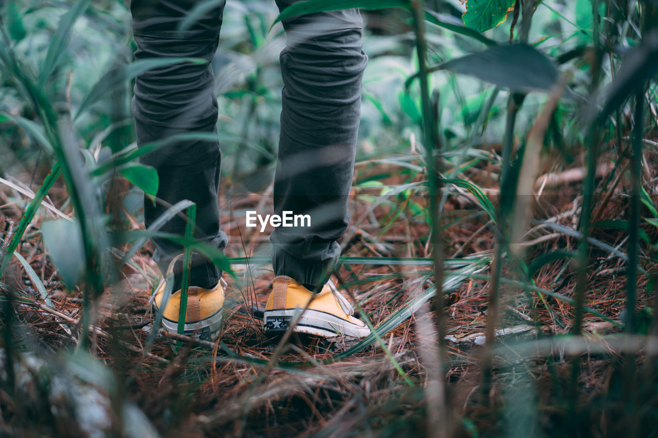 LOW SECTION OF MAN STANDING BY PLANTS