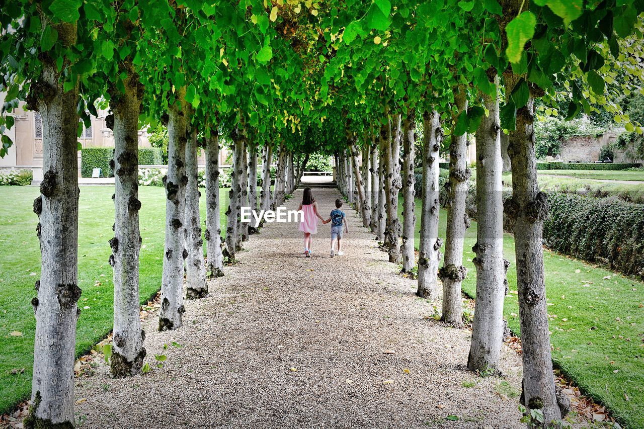 Rear view of siblings walking in park