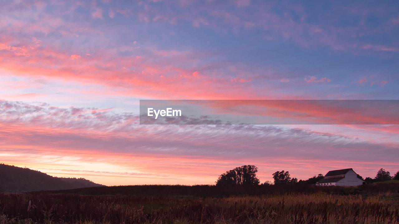 SCENIC VIEW OF FIELD AGAINST ORANGE SKY