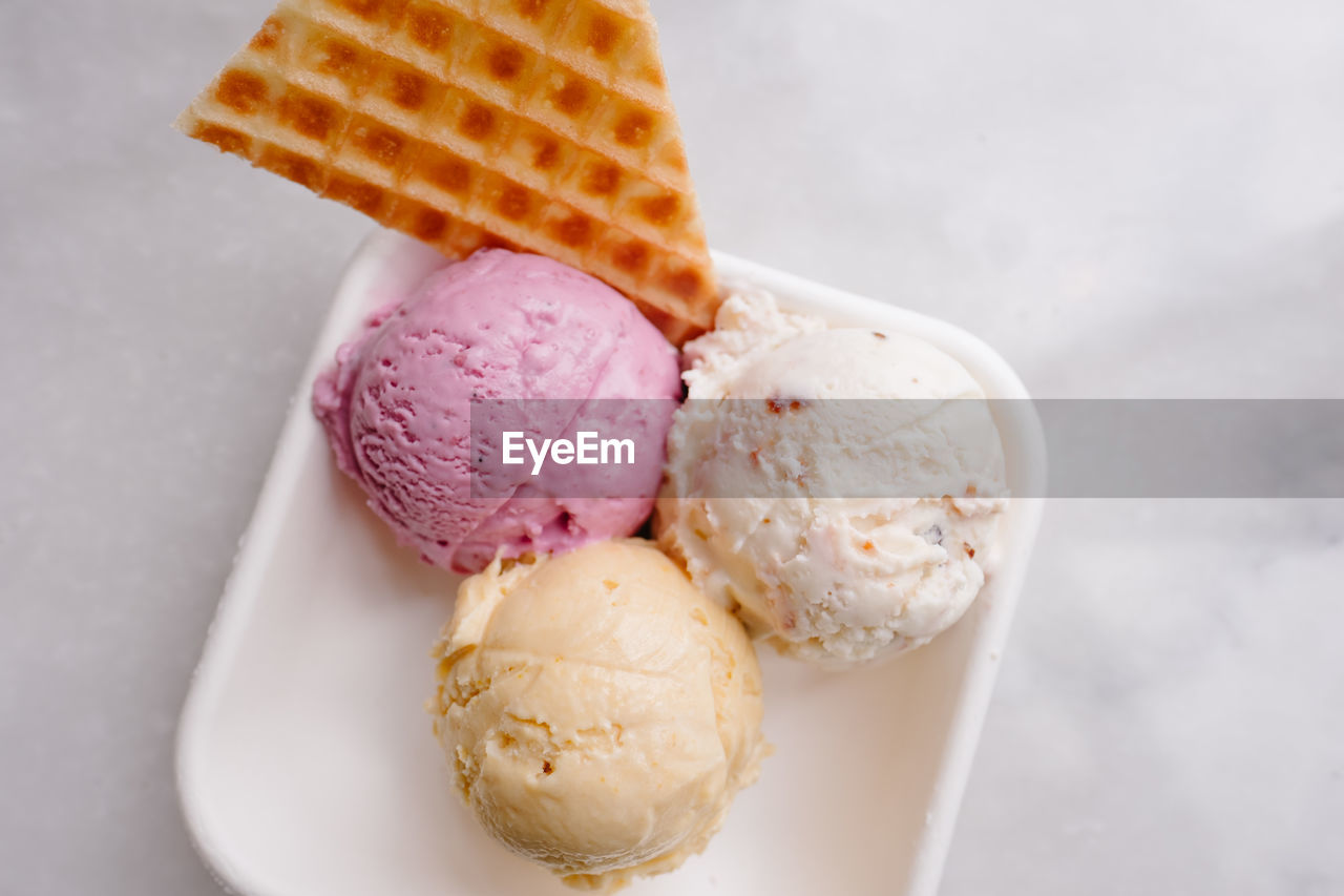 Close-up of ice cream in plate against white background