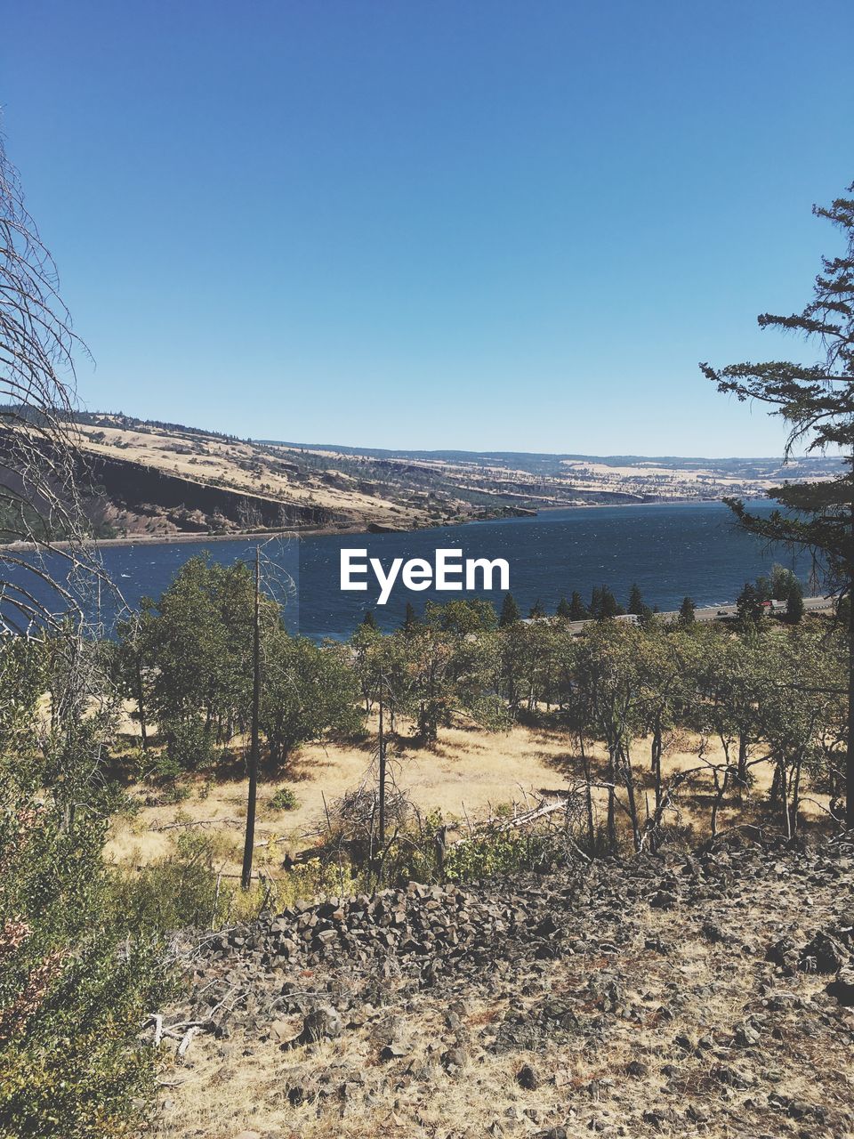 Scenic view of river against clear blue sky