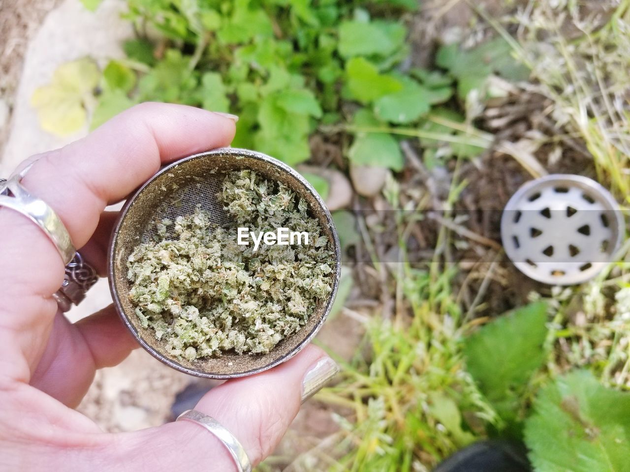 High angle view of person holding full cannabis grinder