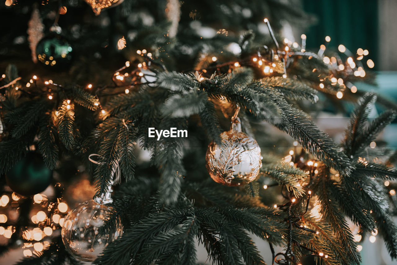 Close-up of illuminated christmas tree