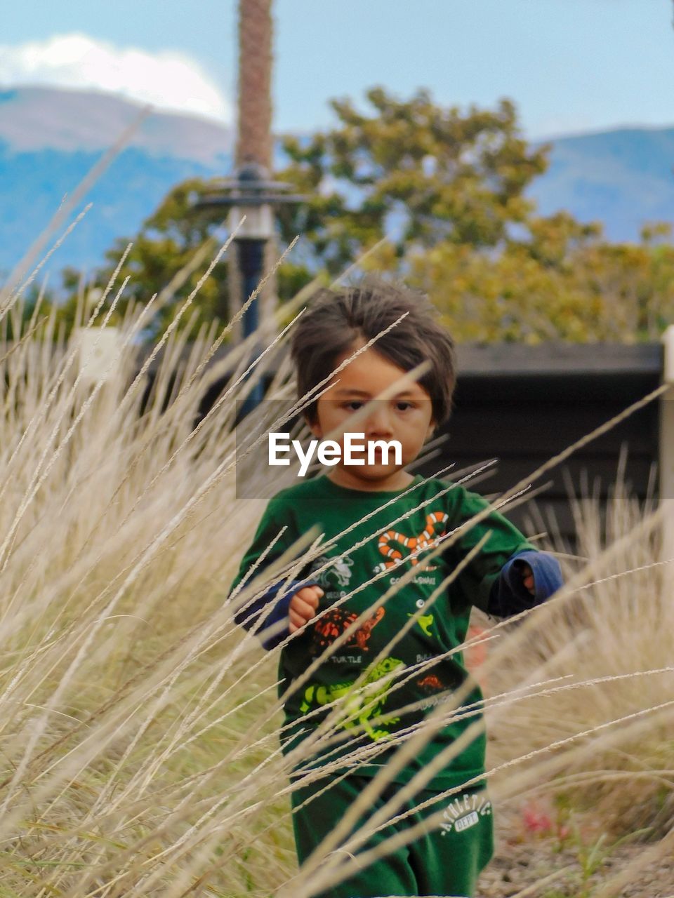 Cute boy walking on land