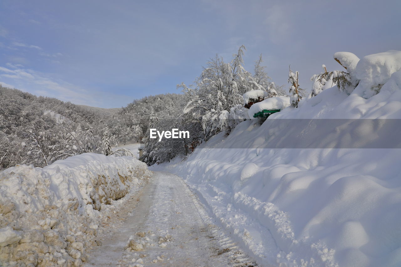 Snow covered land and trees against sky