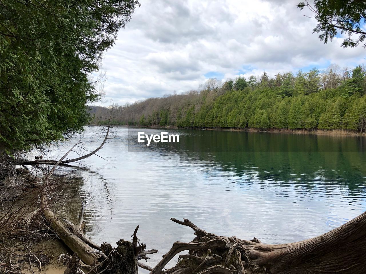 SCENIC VIEW OF LAKE AND TREES AGAINST SKY