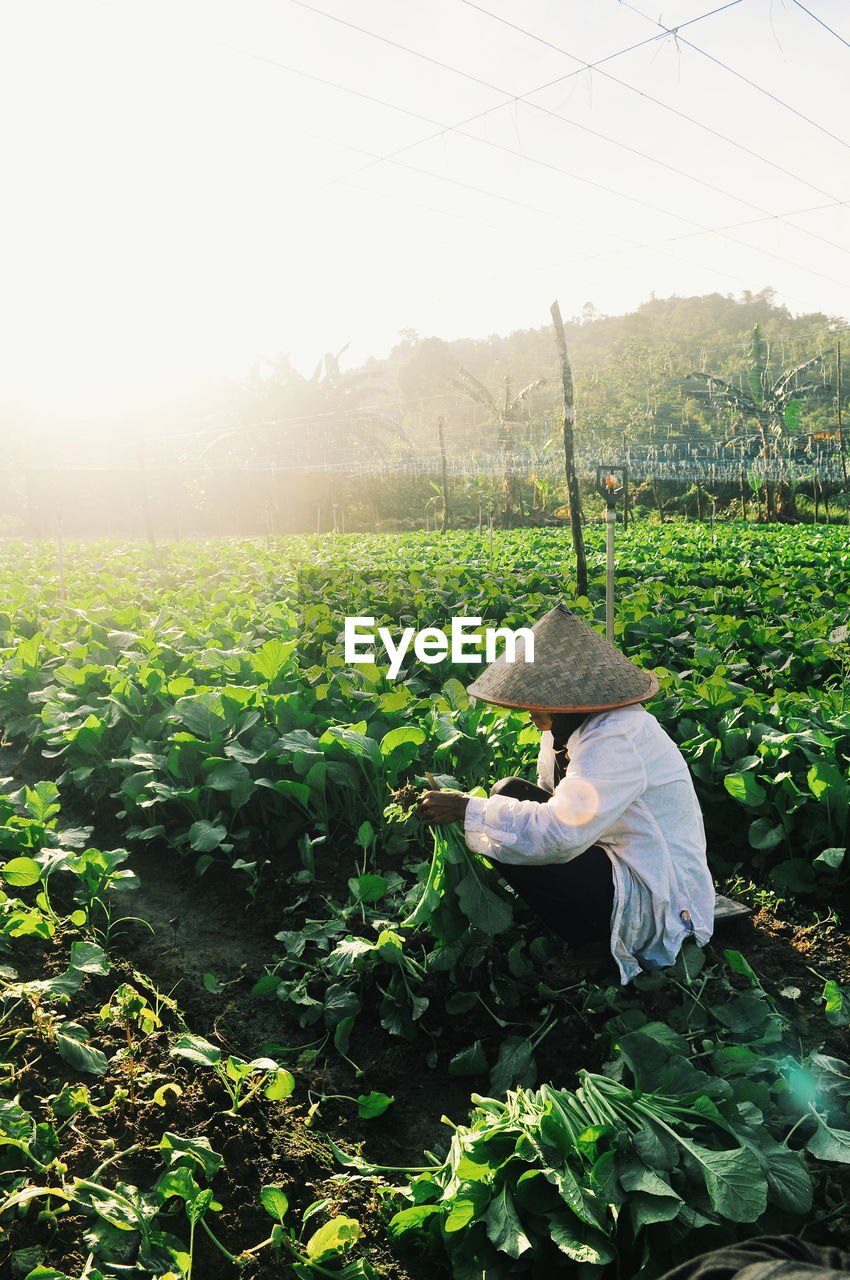 MAN WORKING ON AGRICULTURAL FIELD