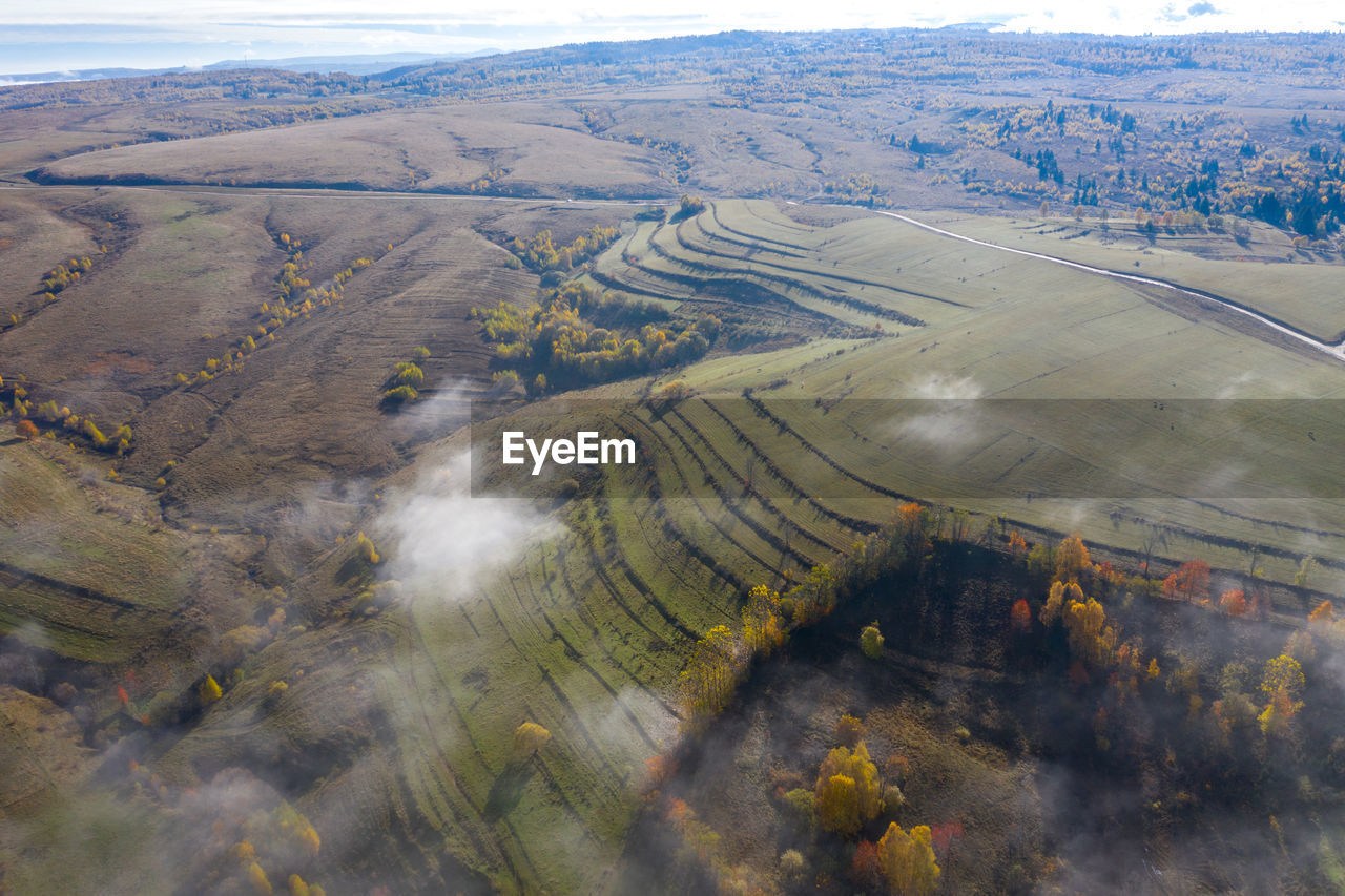 Above aerial view of countryside meadow in the autumn. flying over clouds, drone point of view