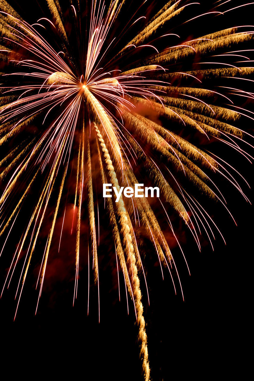 Low angle view of firework display in sky at night