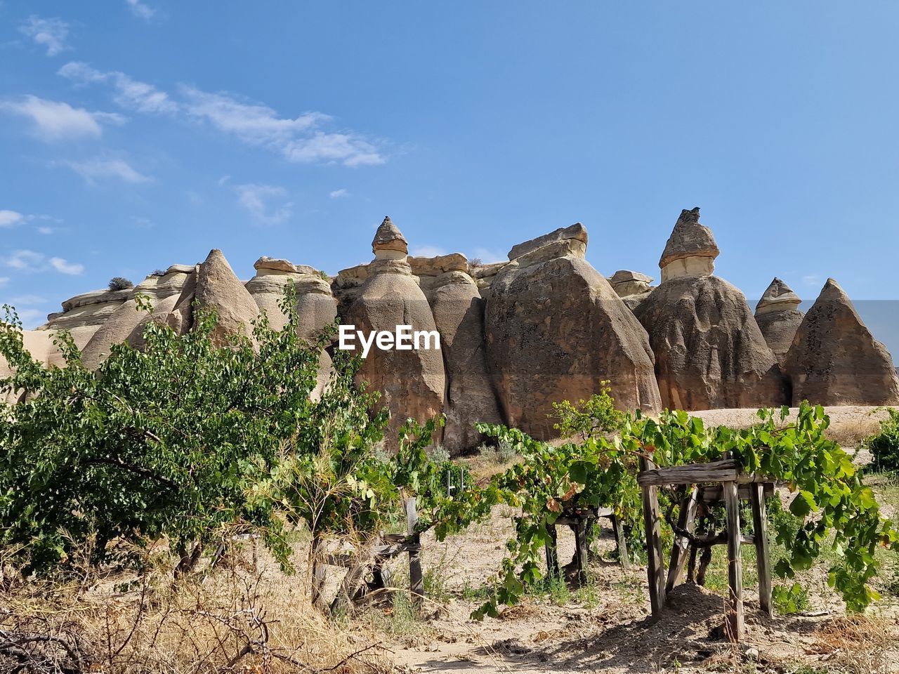 sky, nature, landscape, travel destinations, ancient history, plant, environment, ruins, rock, travel, valley, land, architecture, scenics - nature, no people, tourism, tree, vacation, rock formation, mountain, outdoors, history, blue, beauty in nature, desert, building, village, built structure, the past, non-urban scene, wadi, day, cloud, sunny, ancient, clear sky, tranquility, building exterior, geology
