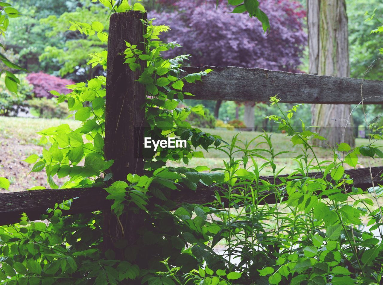 View of wooden fence in field