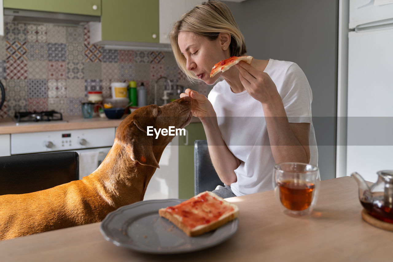 Middle aged mature woman stroking and treating dog with sandwich sits in kitchen during breakfast