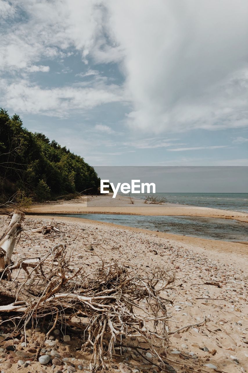 Scenic view of beach against sky