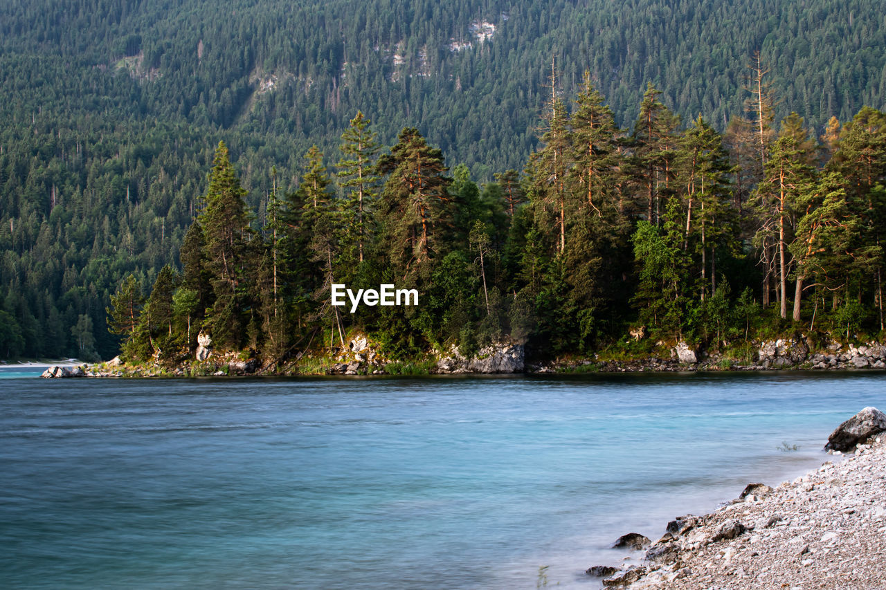 scenic view of sea against trees