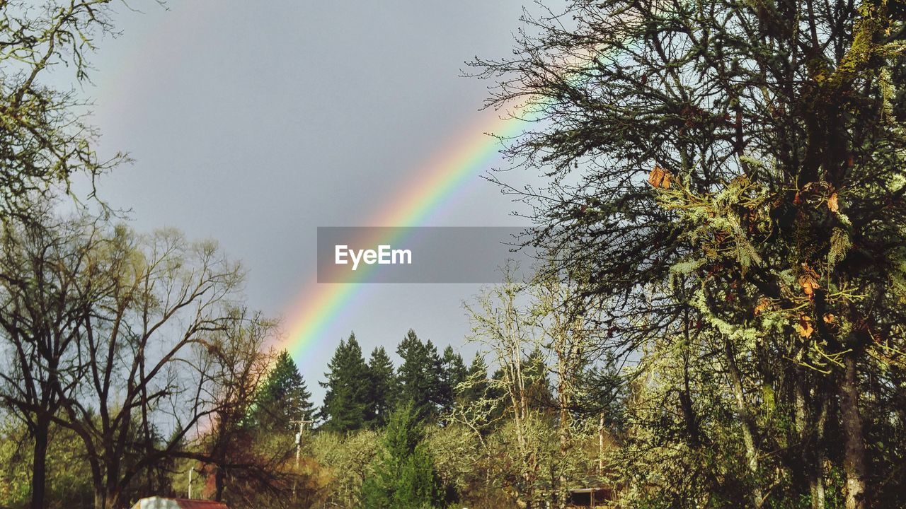 Scenic view of rainbow over landscape