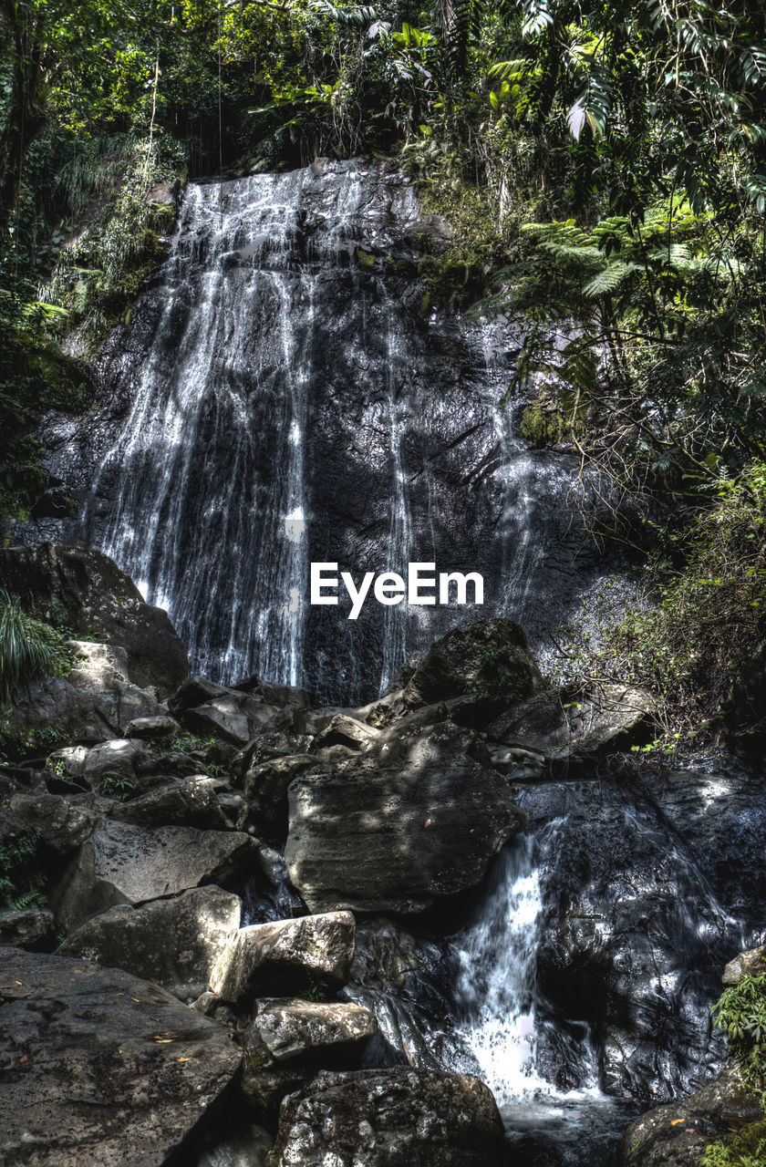 WATERFALL IN FOREST