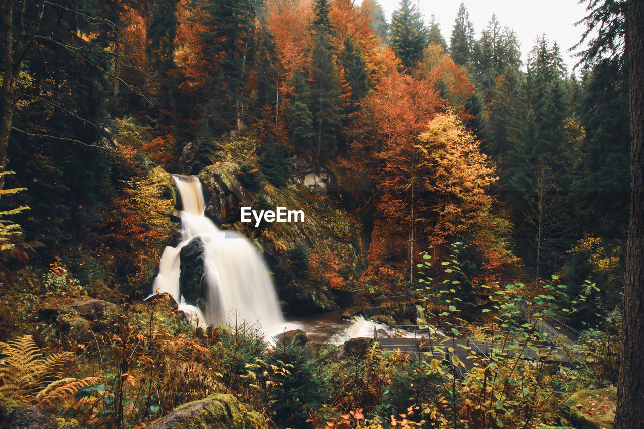 SCENIC VIEW OF WATERFALL