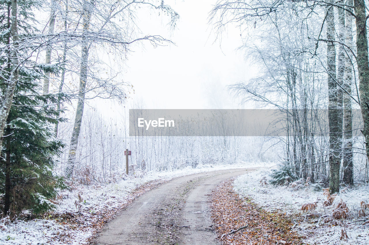 Road amidst trees on field during winter against sky