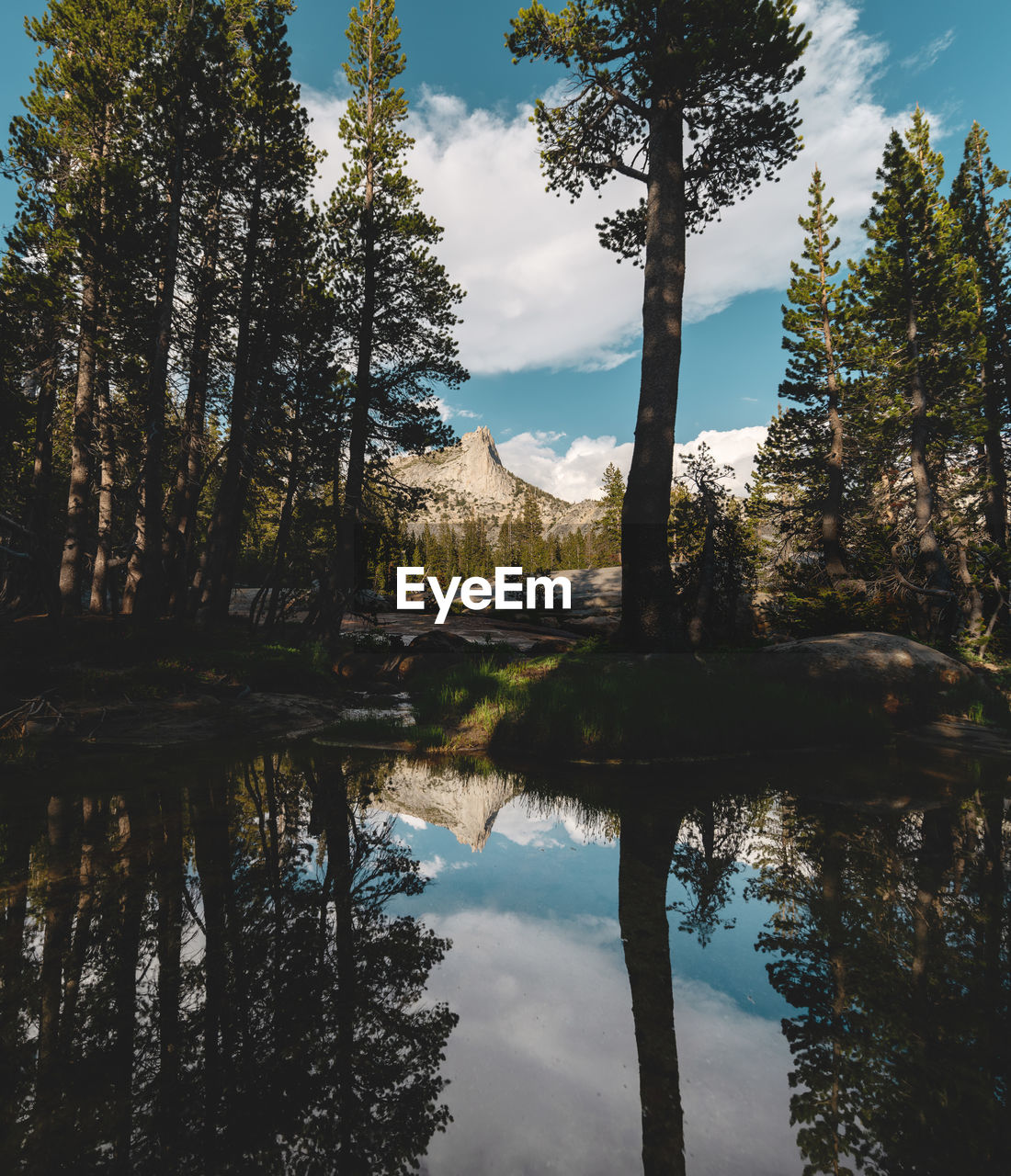 Reflection of trees in lake against sky