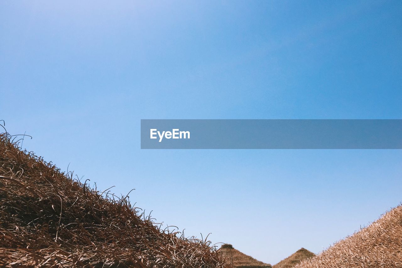 Low angle view of thatched roofs of pyramid shape against blue sky