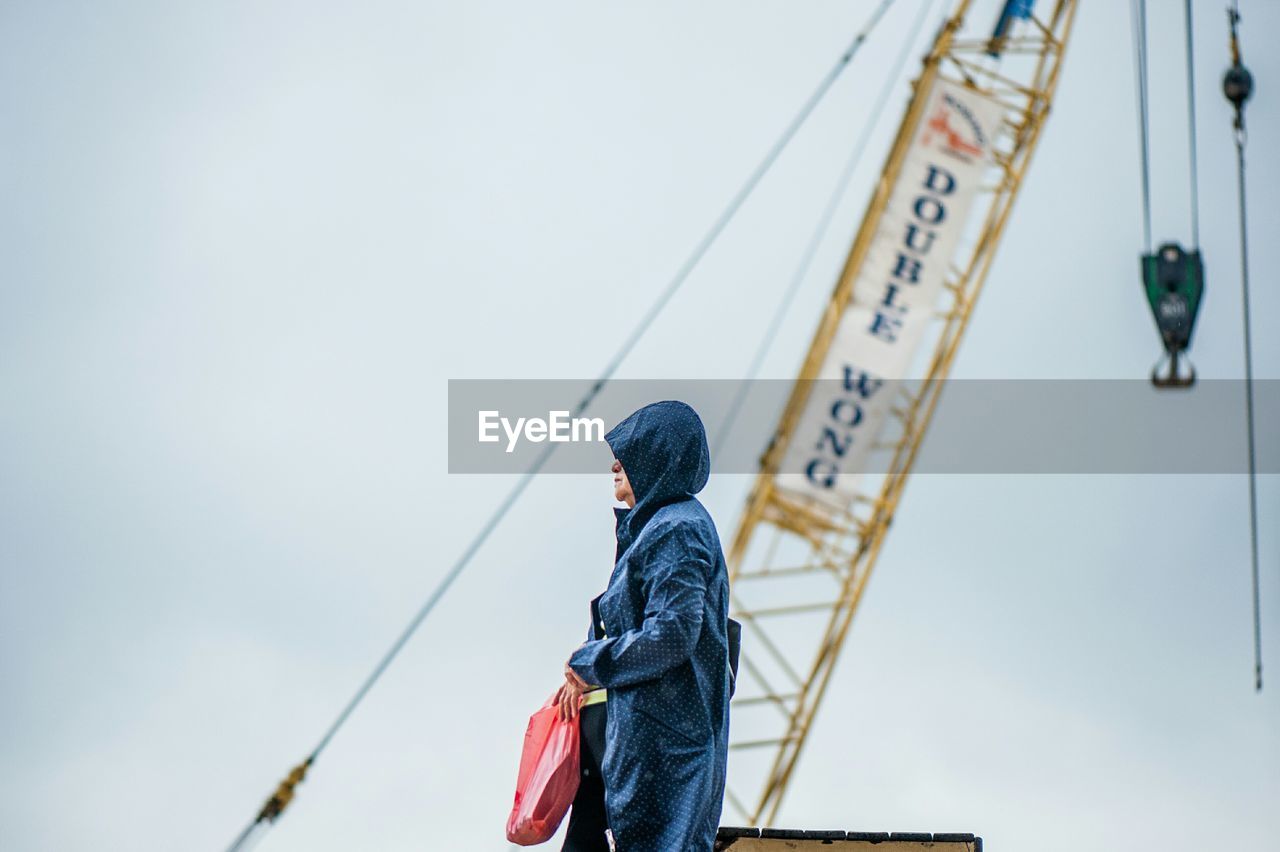 Person standing by crane against clear sky