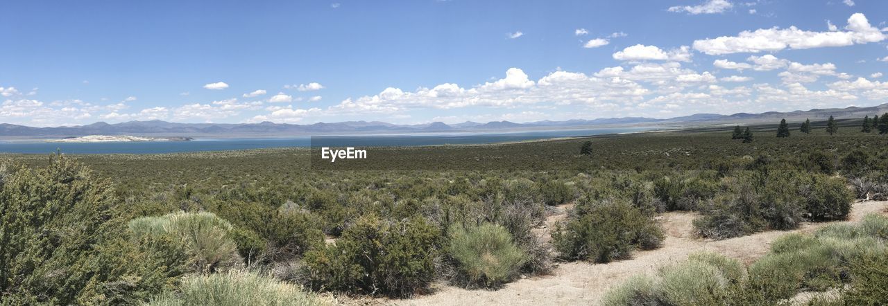 PANORAMIC SHOT OF LAND AGAINST SKY