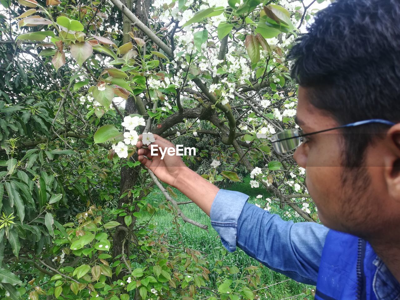 PORTRAIT OF MAN HOLDING FLOWER AGAINST TREE