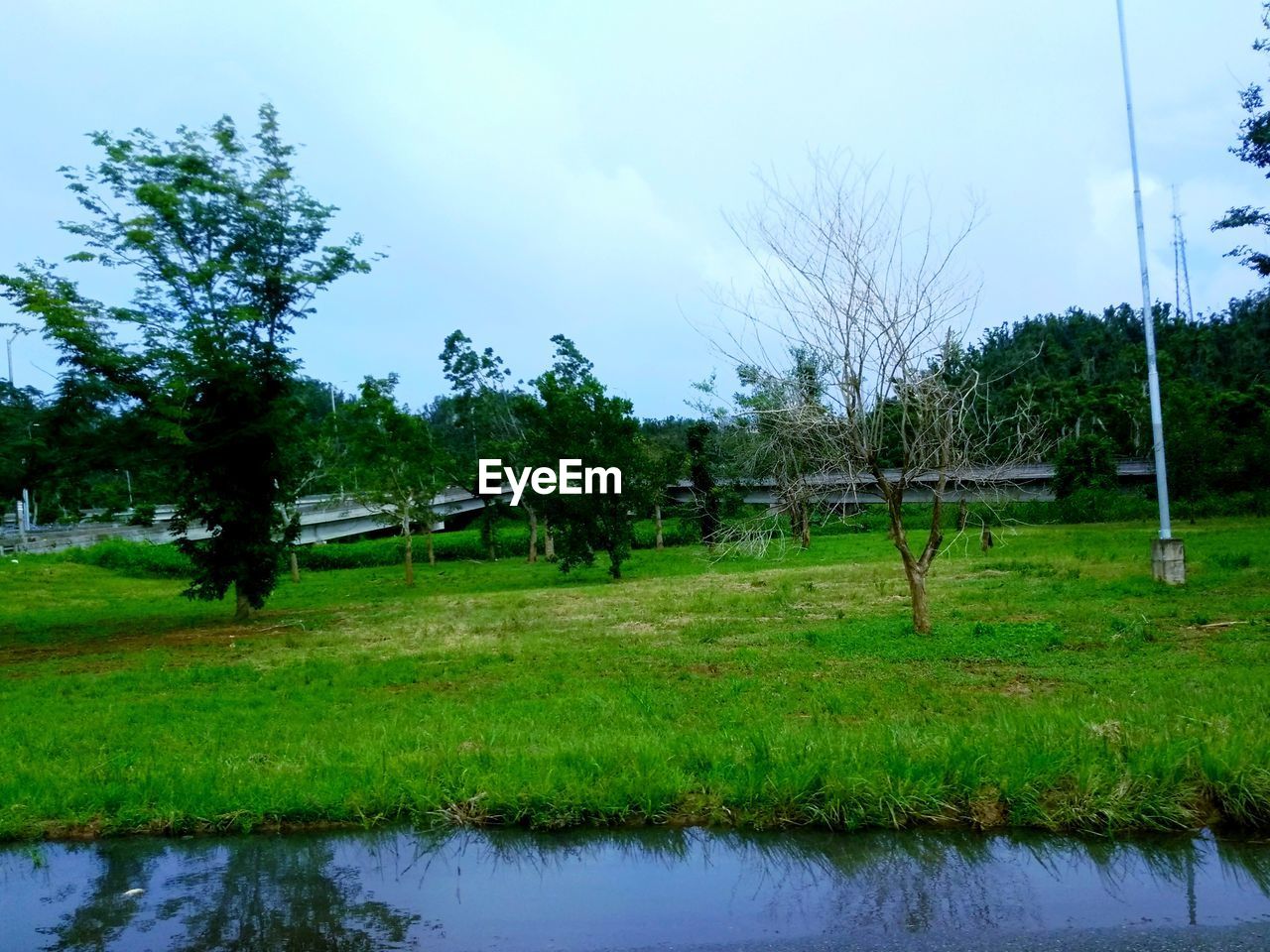 SCENIC VIEW OF GREEN FIELD AGAINST SKY