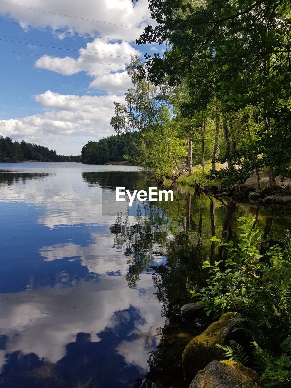 SCENIC VIEW OF LAKE AMIDST TREES AGAINST SKY