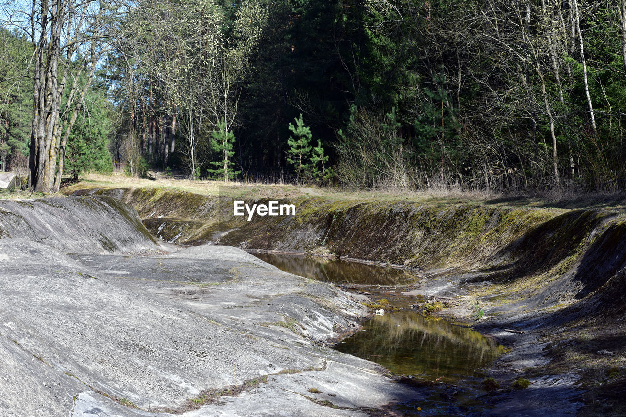 SCENIC VIEW OF WATER FLOWING THROUGH FOREST