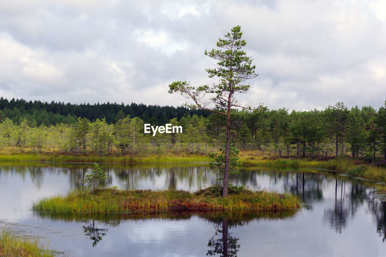 Scenic view of lake by trees against sky