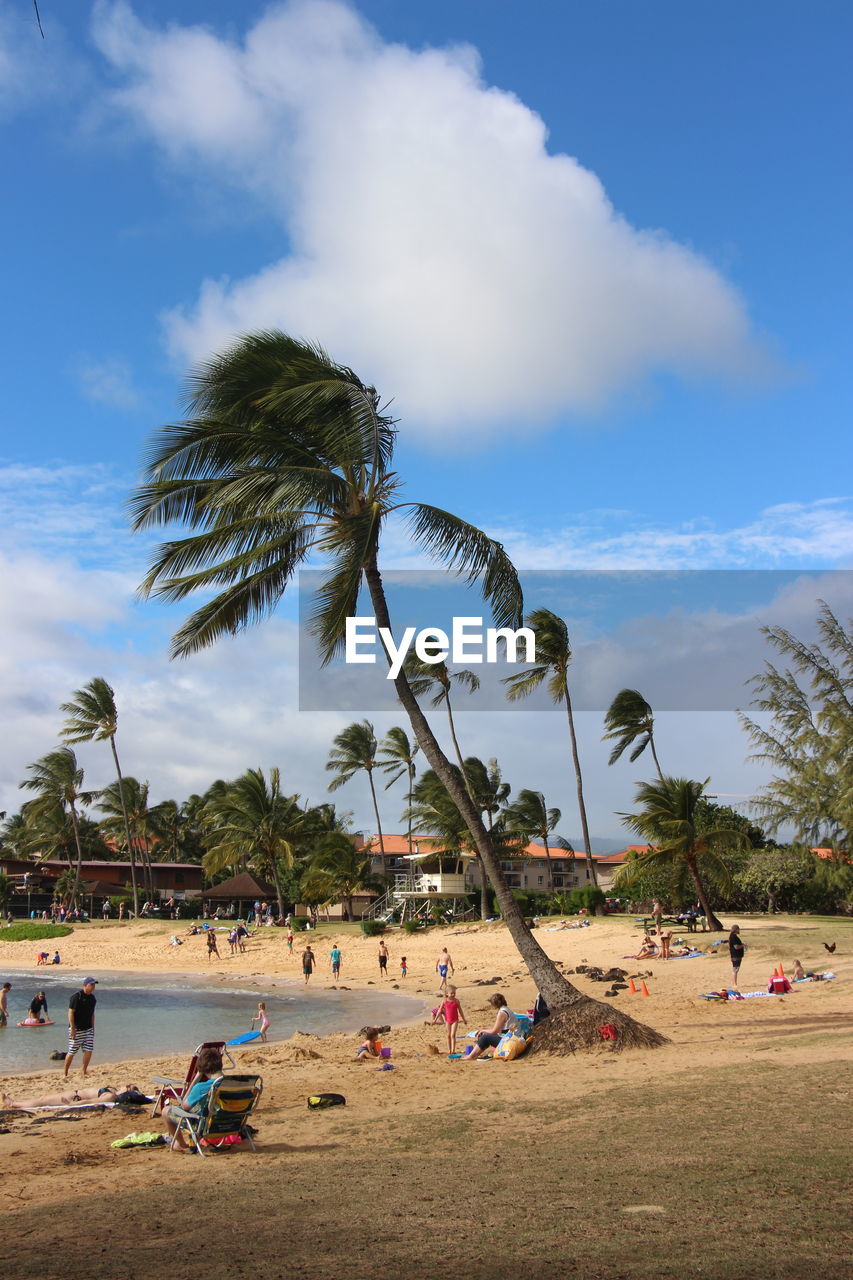 palm tree, sky, cloud - sky, tree, beach, large group of people, real people, nature, sand, scenics, outdoors, vacations, day, men, beauty in nature, lifestyles, water, people