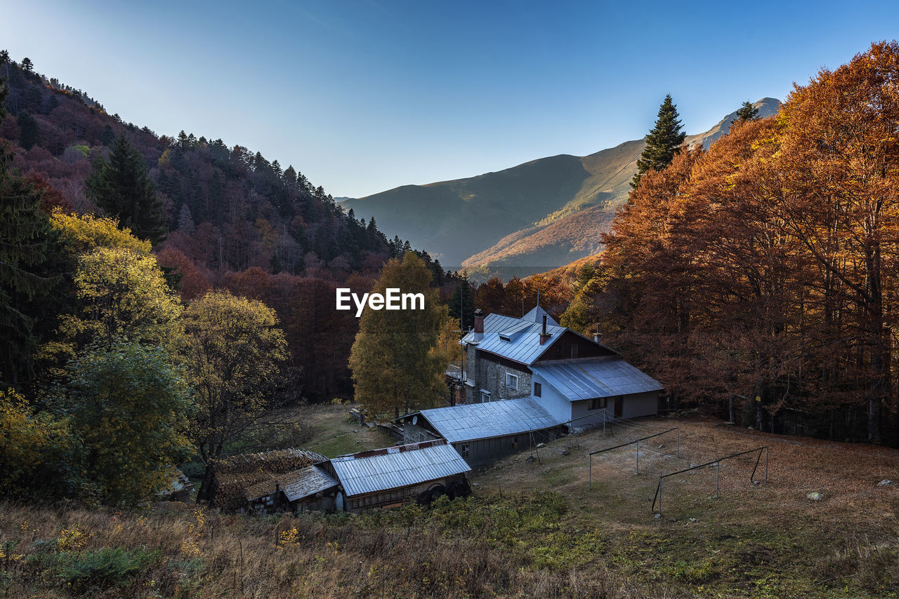 SCENIC VIEW OF TREES AND BUILDINGS AGAINST SKY