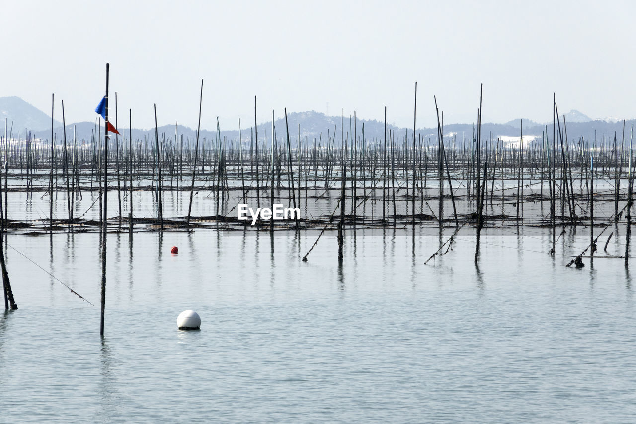 Scenic view of sea weed farm against sky