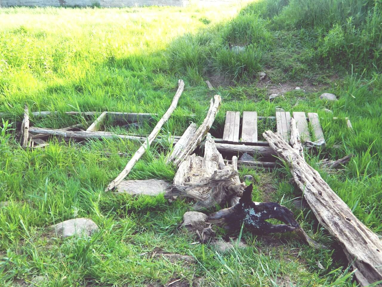 WOODEN STRUCTURE ON GRASSY FIELD